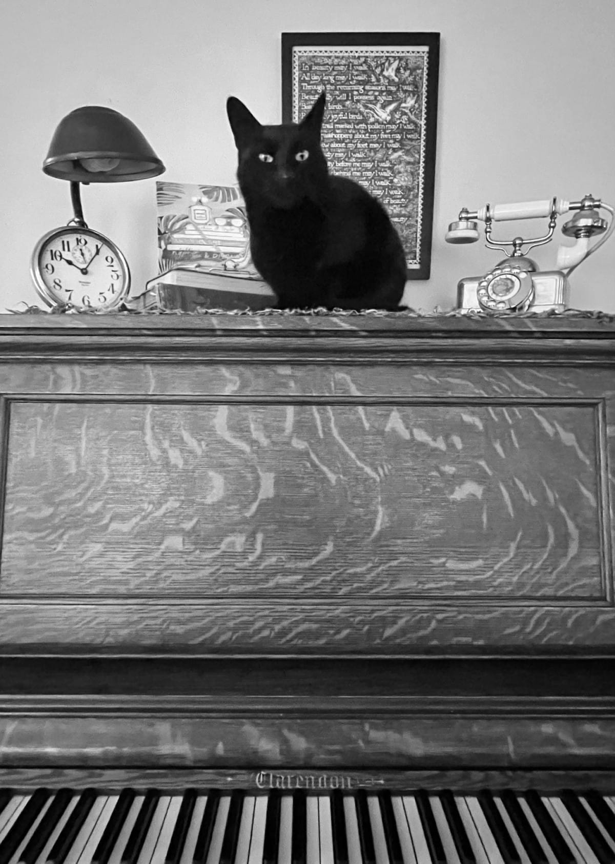 A black cat sits on top of a stand-up piano