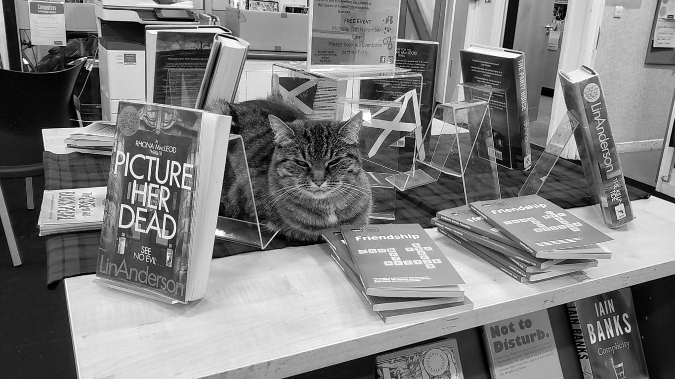 A tabby cat sits with her eyes half closed on a library book display table, surrounded by books