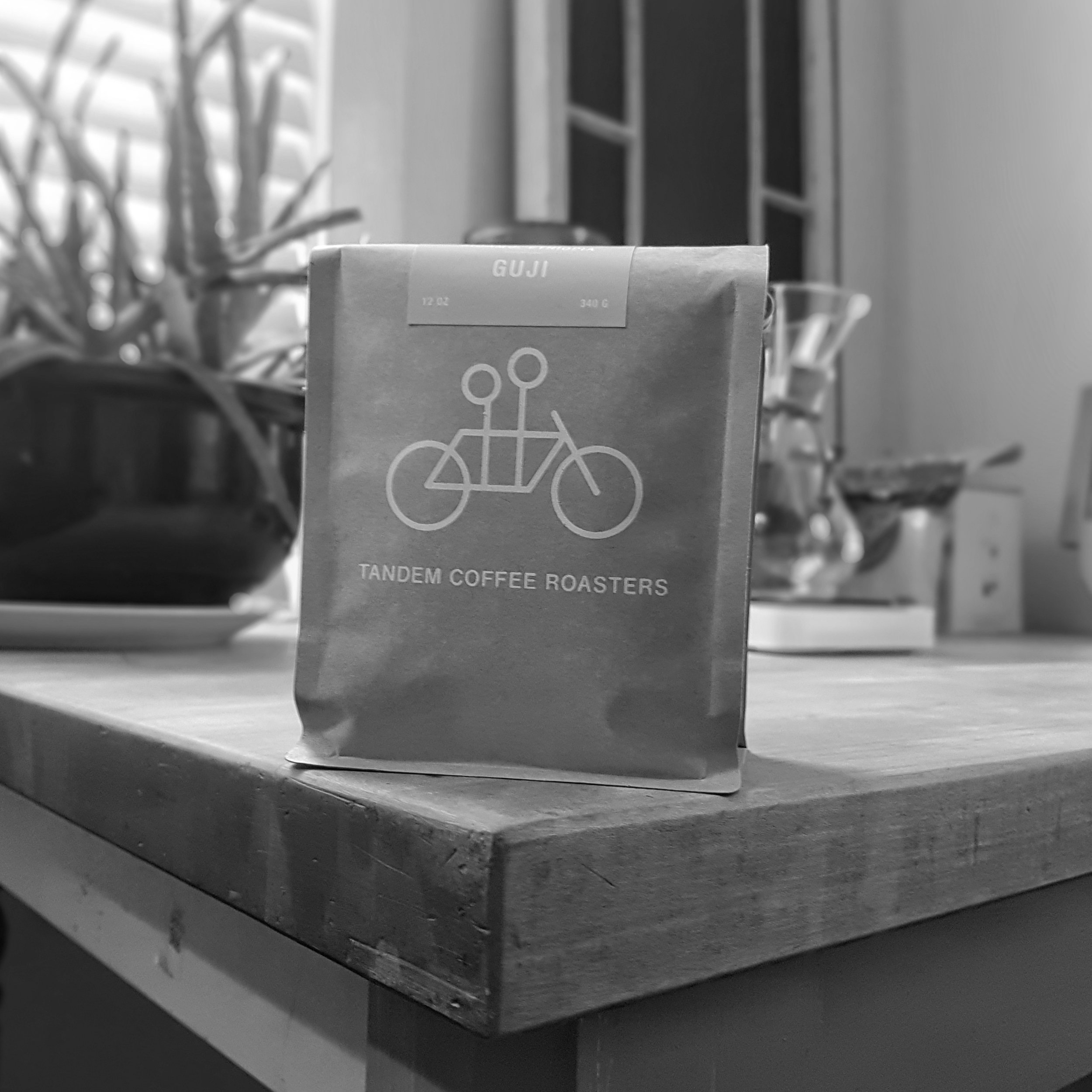REVIEW: ETHIOPIA SIDAMO GUJI—TANDEM COFFEE ROASTERS, PORTLAND, ME