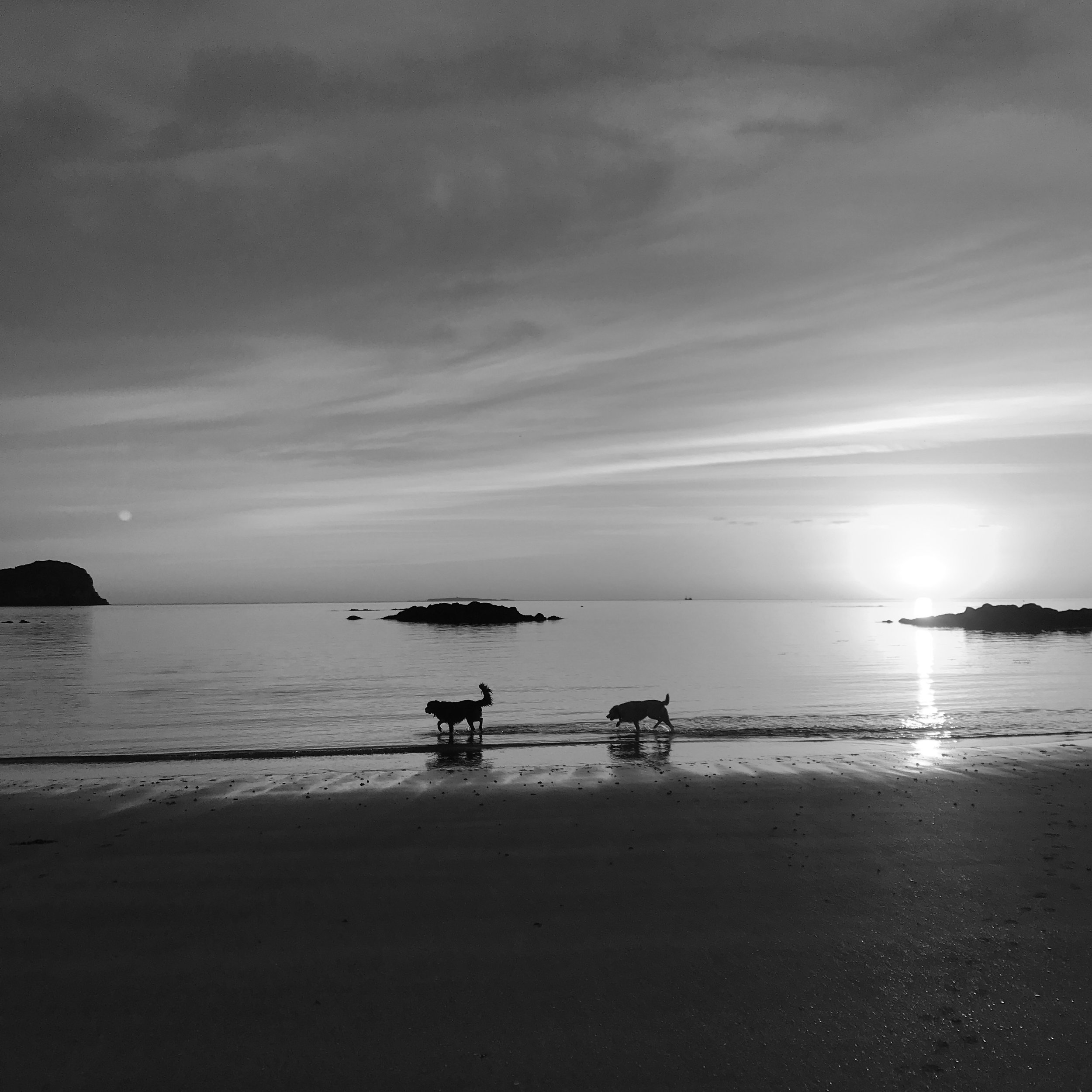 Photo courtesy of Steampunk Coffee