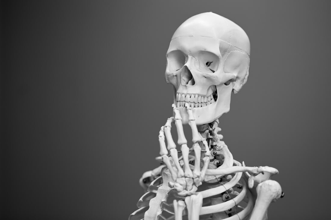 A human skeleton